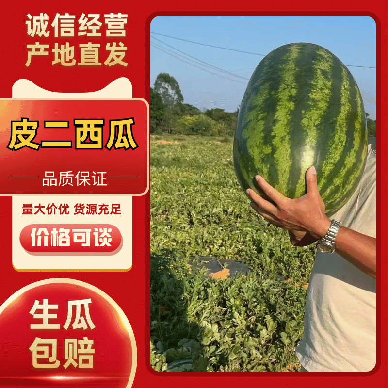皮二西瓜产地直供大量有货一手货源价格实惠