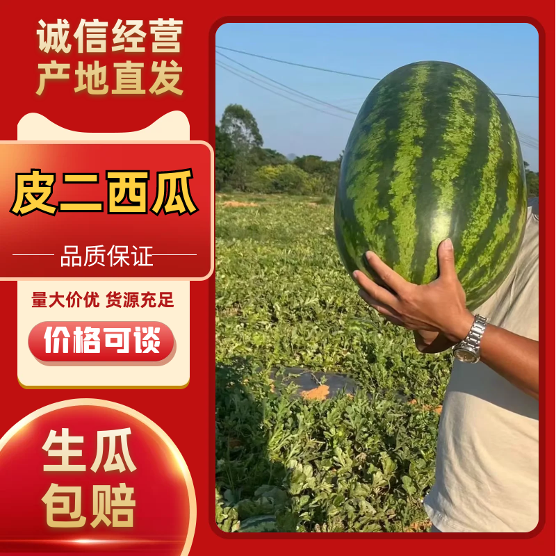 皮二西瓜产地直供大量有货一手货源价格实惠