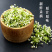 内蒙古呼伦贝尔草原野生韭菜花200g袋装