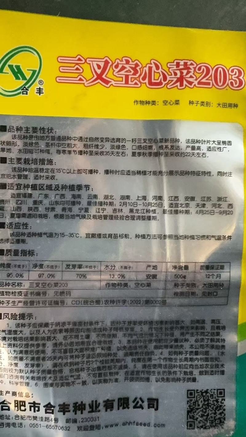 三叉空心菜-空心菜种子高产叶大梗粗易口感脆嫩生长速度快