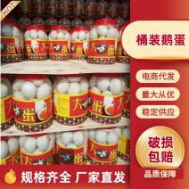 桶装鹅蛋，桶装雁鹅蛋大量供应，厂家直销，欢迎咨询