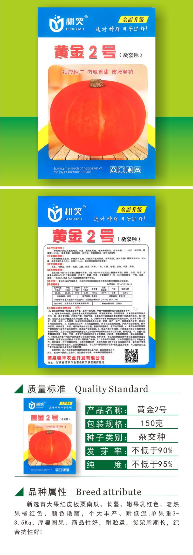 黄金2号红板栗南瓜种子，瓜型漂亮颜色亮丽，大果型易管理