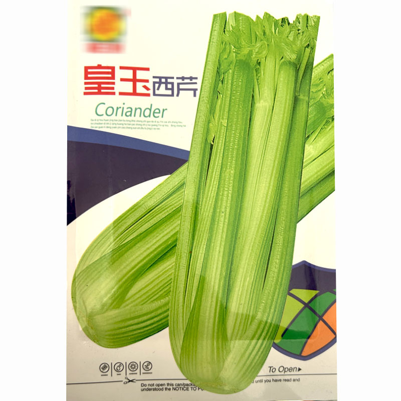 西芹种子皇玉实心大芹菜籽黄绿色晚抽薹四季种植