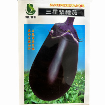 罐茄王种子三星紫灯泡茄紫圆茄牛心紫黑罐茄子种籽