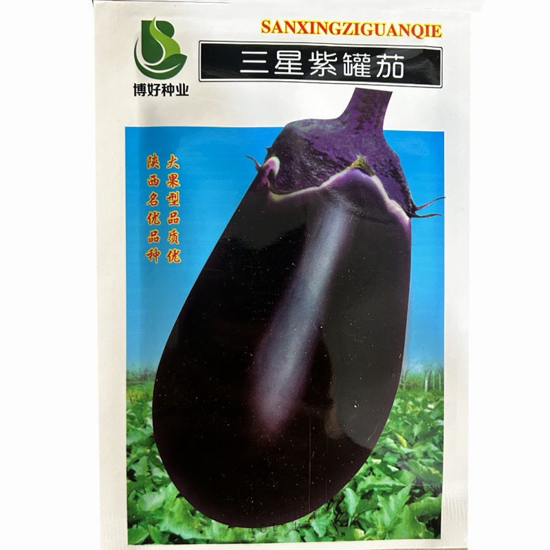 罐茄王种子三星紫灯泡茄紫圆茄牛心紫黑罐茄子种籽