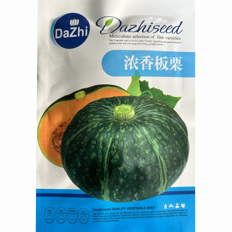 浓香板栗南瓜种子80天左右肉质面香甜基地品种