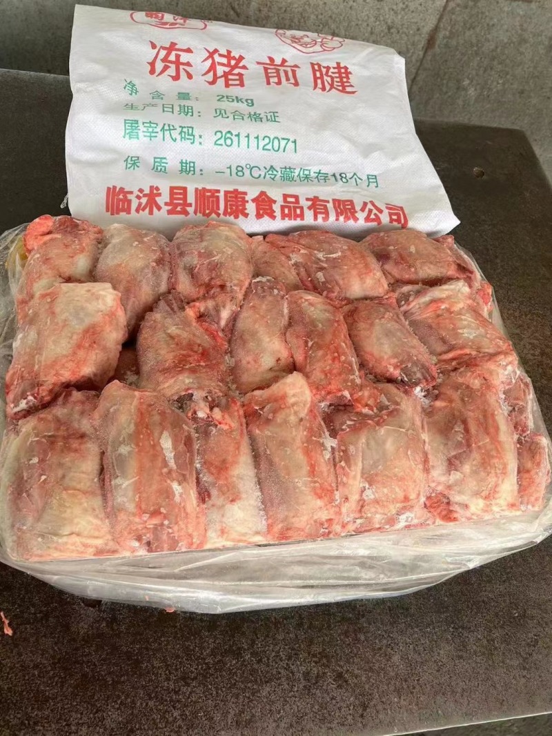 母猪前腱