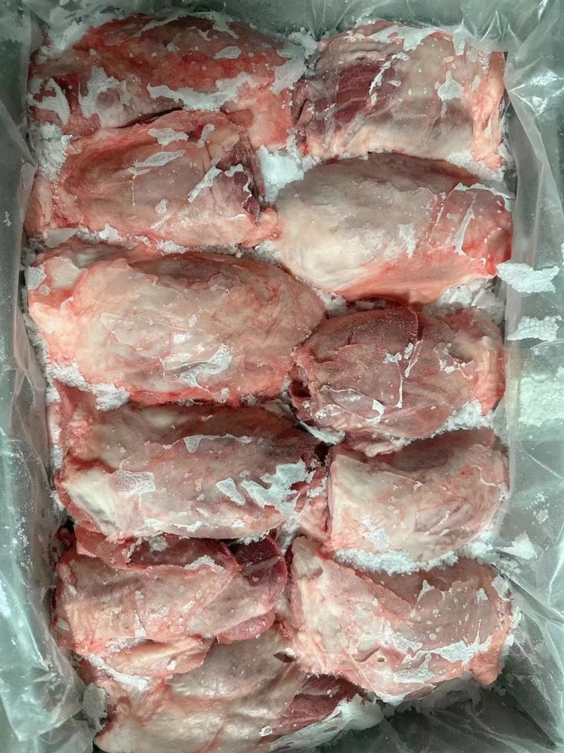 母猪前腱