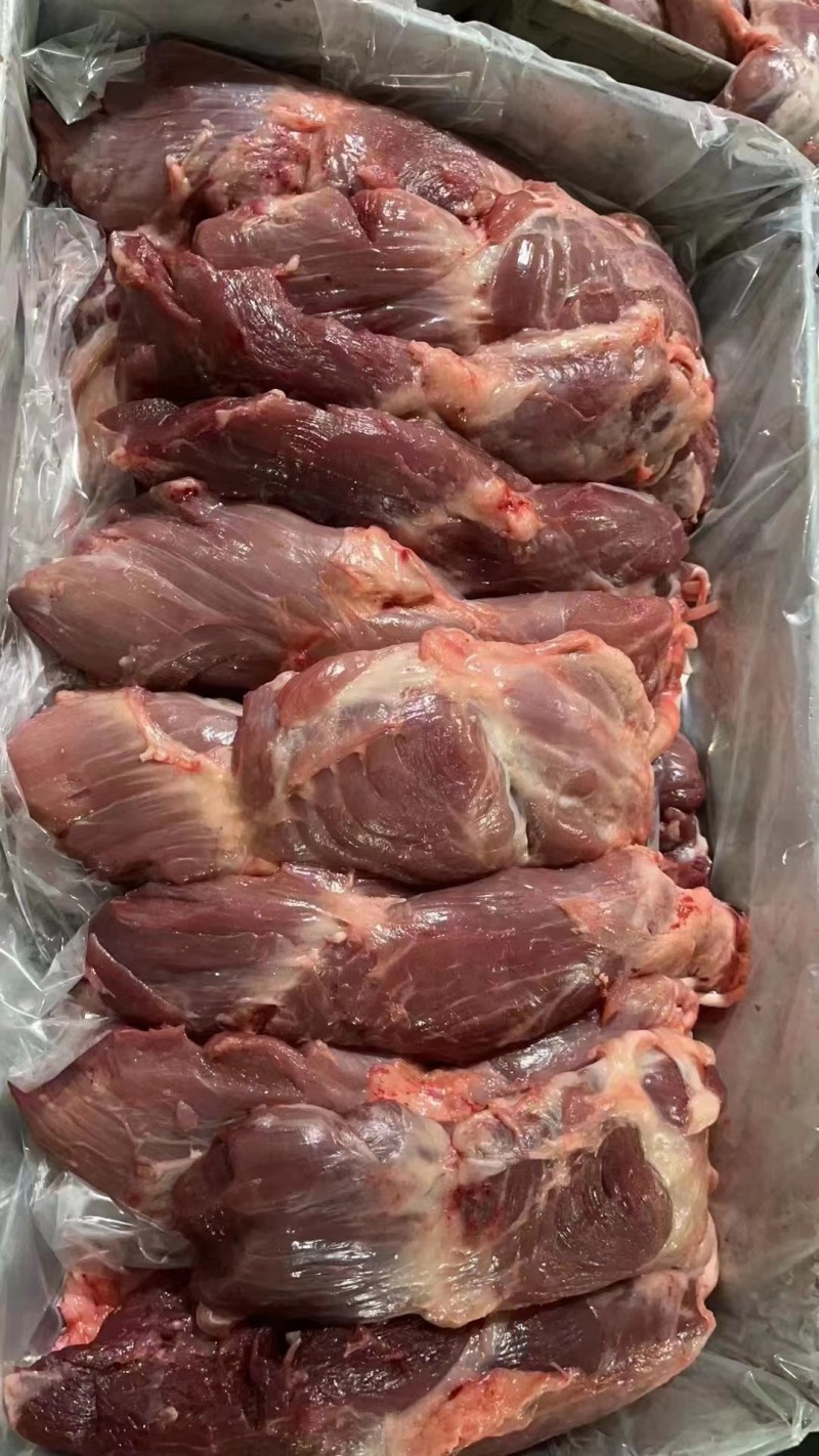母猪副腱，偏腱
