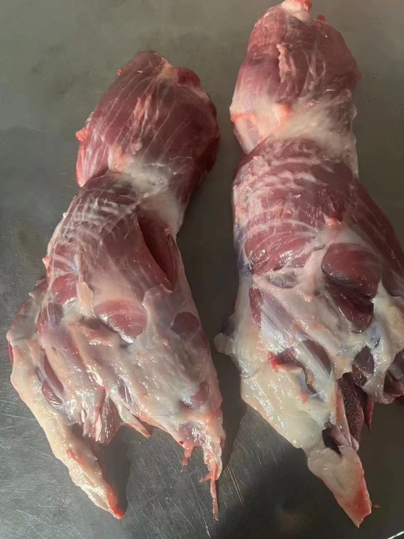 母猪副腱，偏腱