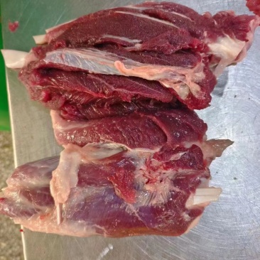 母猪后腱