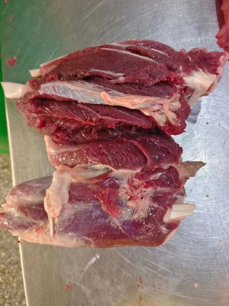 母猪后腱