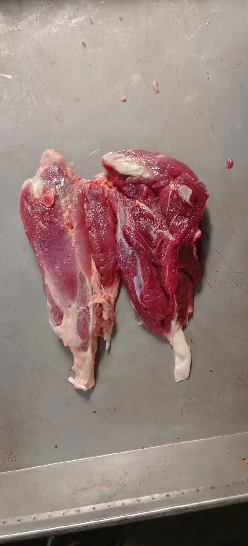 母猪后腱