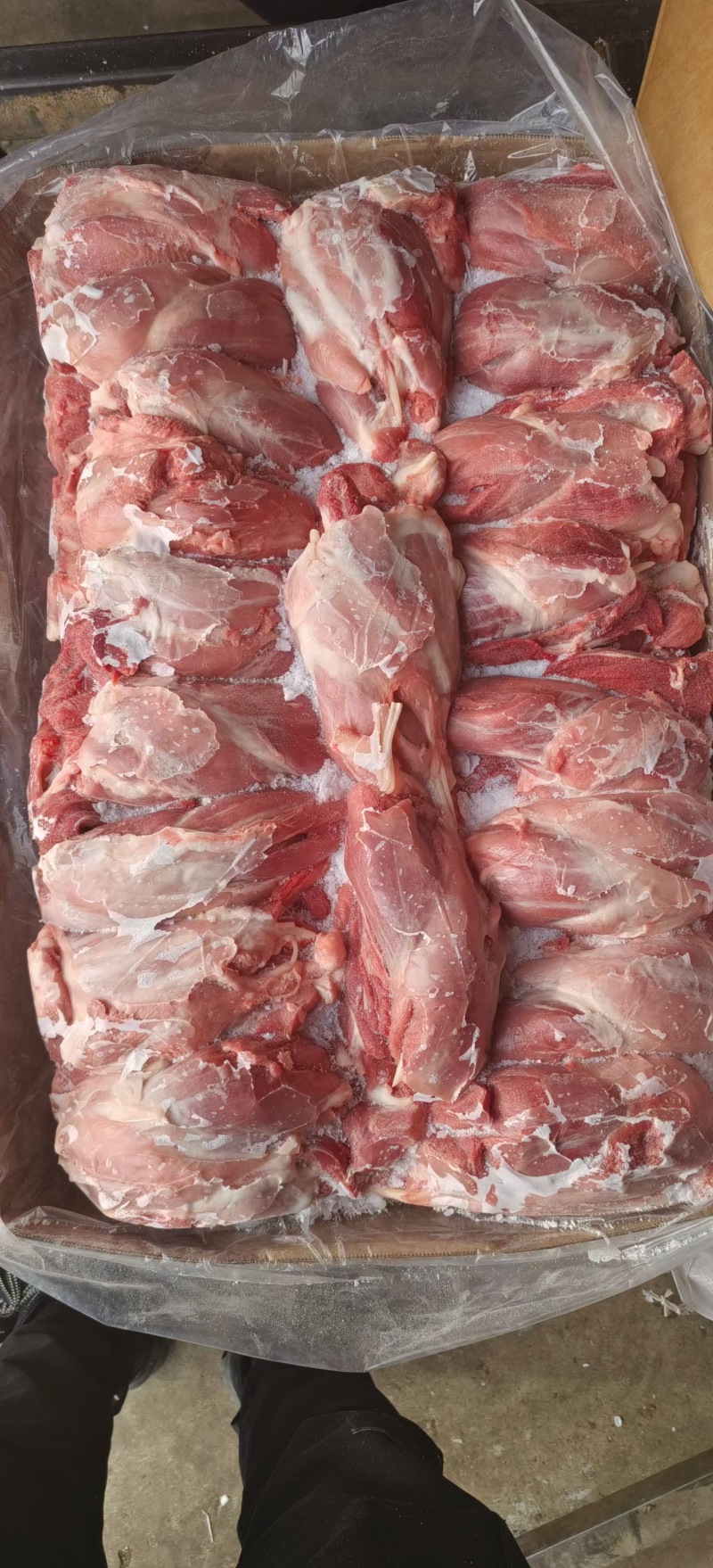 母猪后腱
