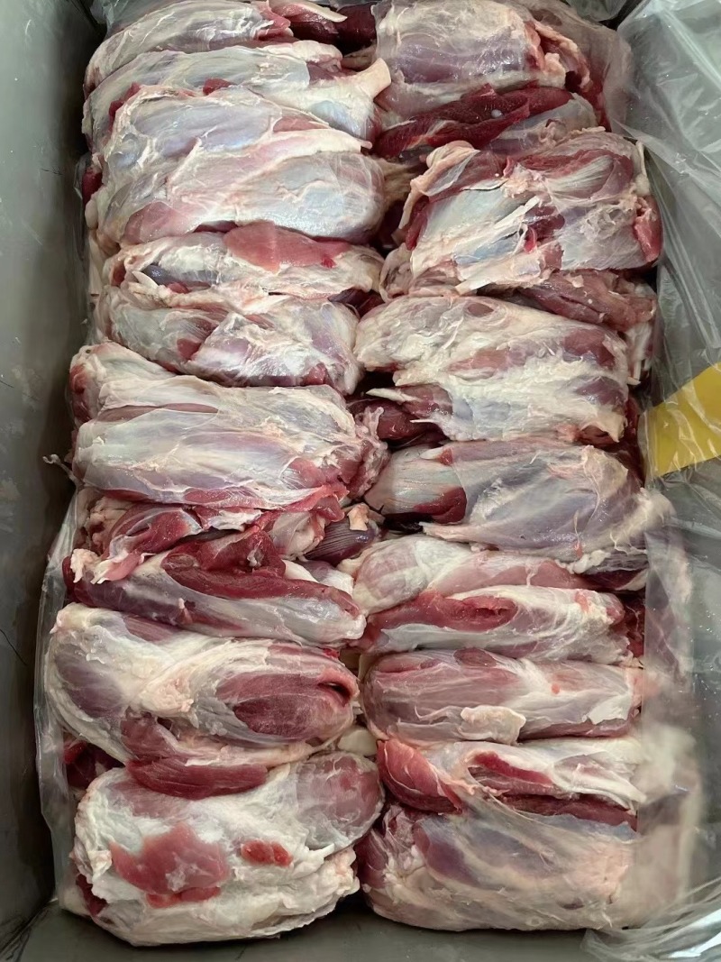 母猪后腱