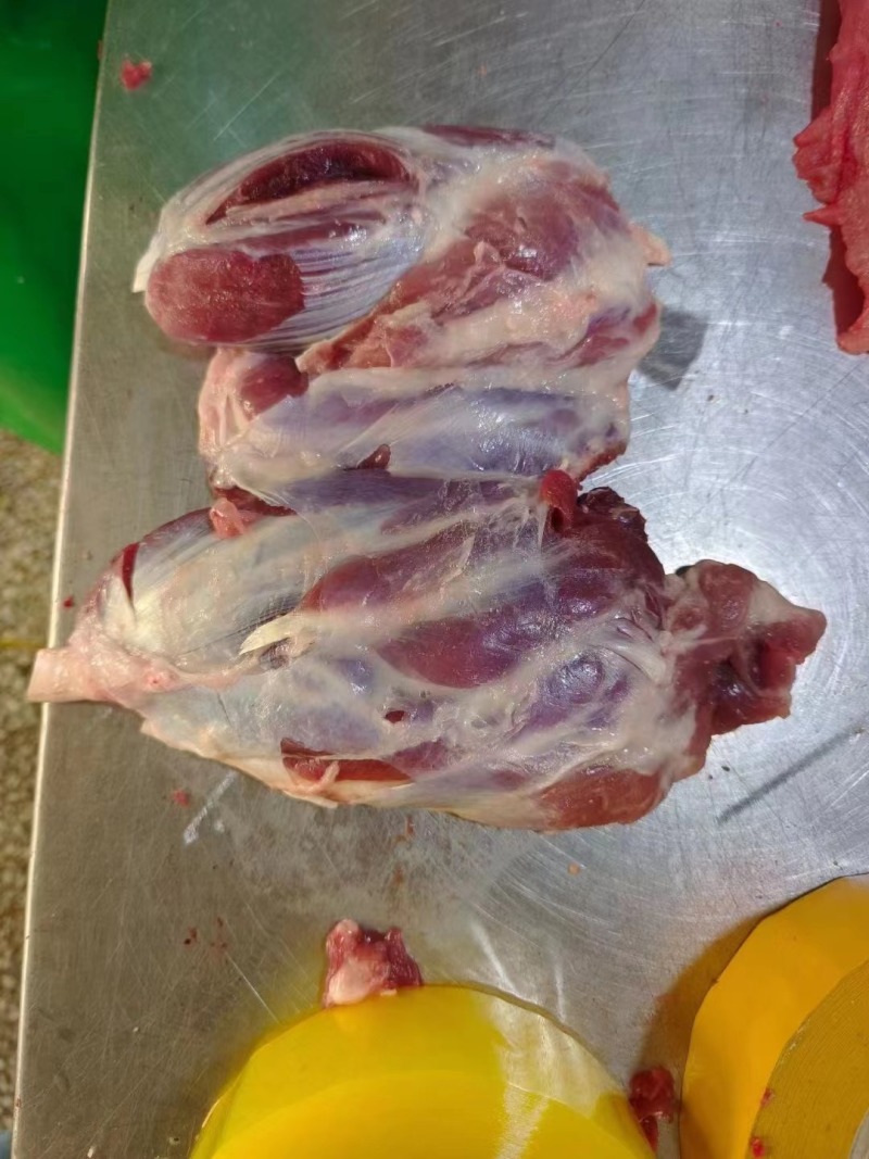 母猪后腱