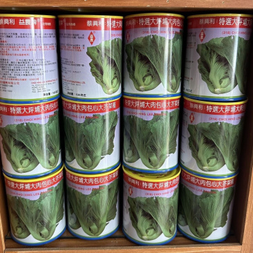 蔡兴利益农牌大坪埔包心大芥菜种子100克罐装可加工咸菜