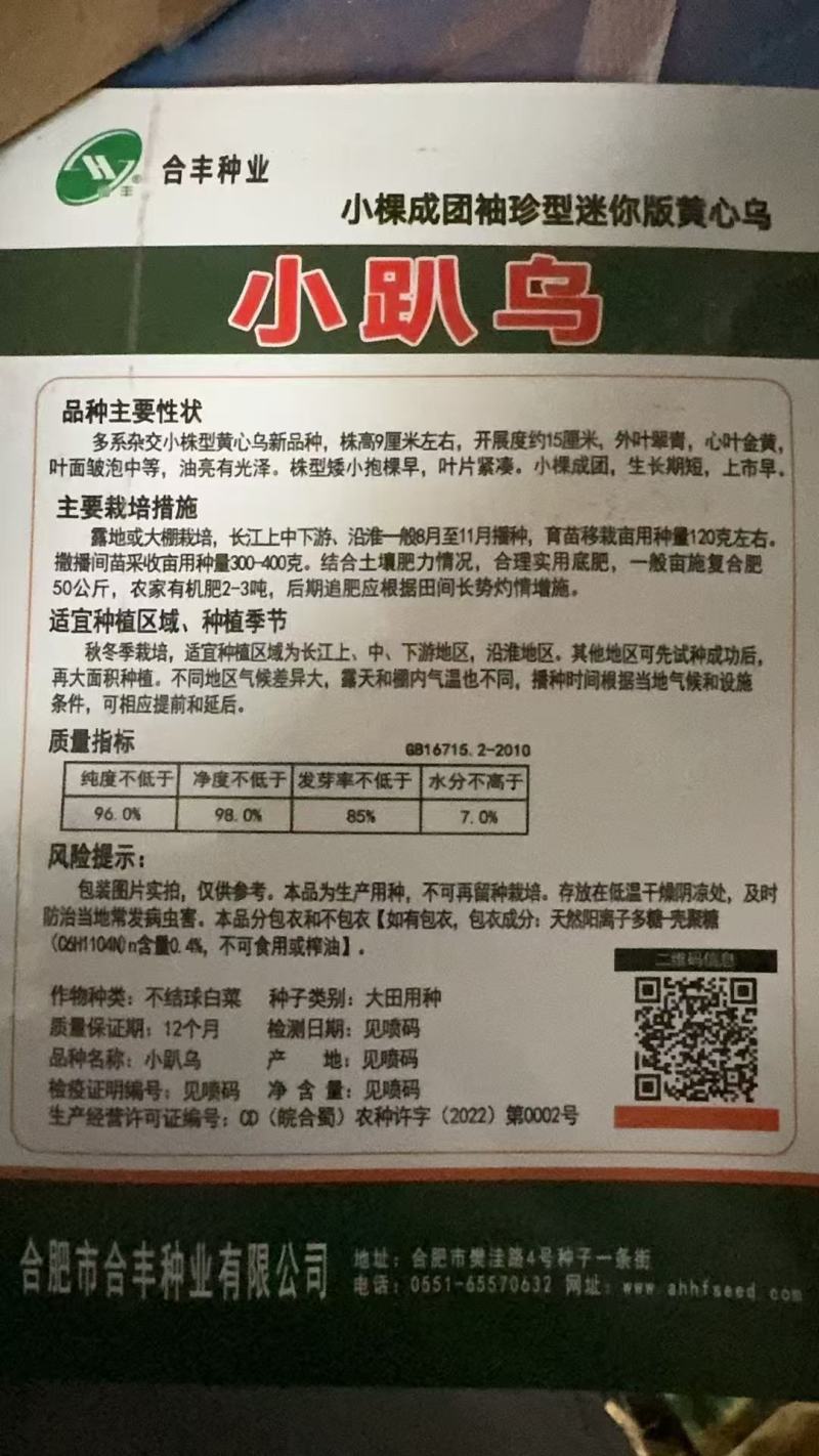 小趴乌-黄心乌种子新品种迷你袖珍绿叶黄心矮杆