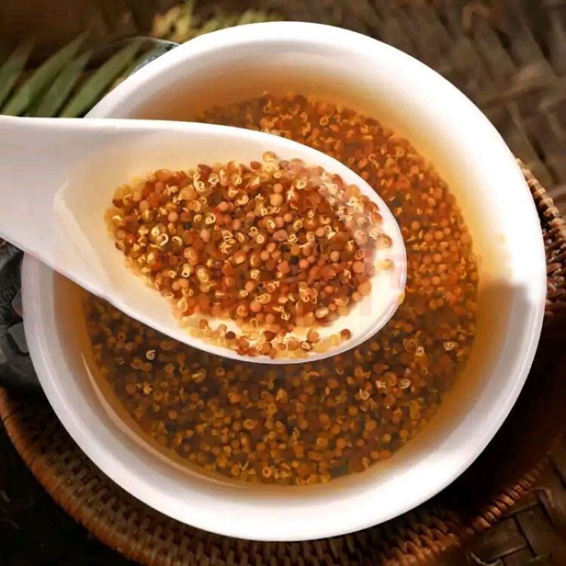 中药材批野生发菟丝子兔丝子四川大菟丝子菟丝子茶新货