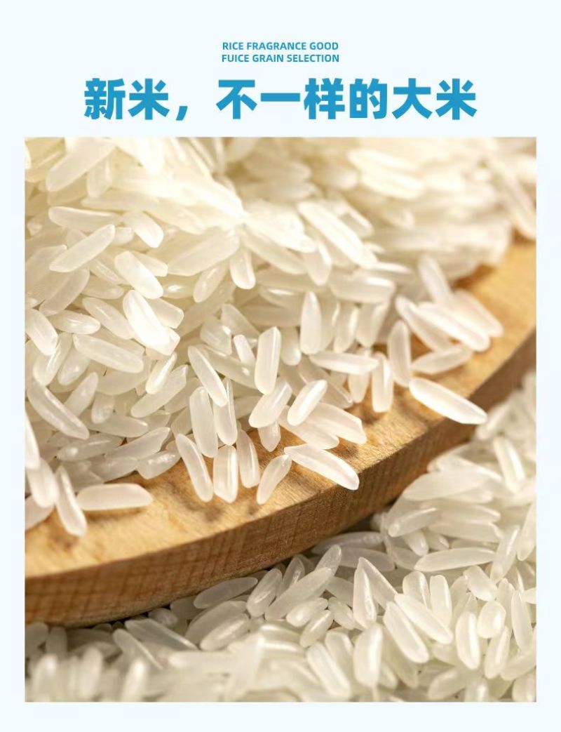 中科发五大米