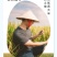 中科发五大米