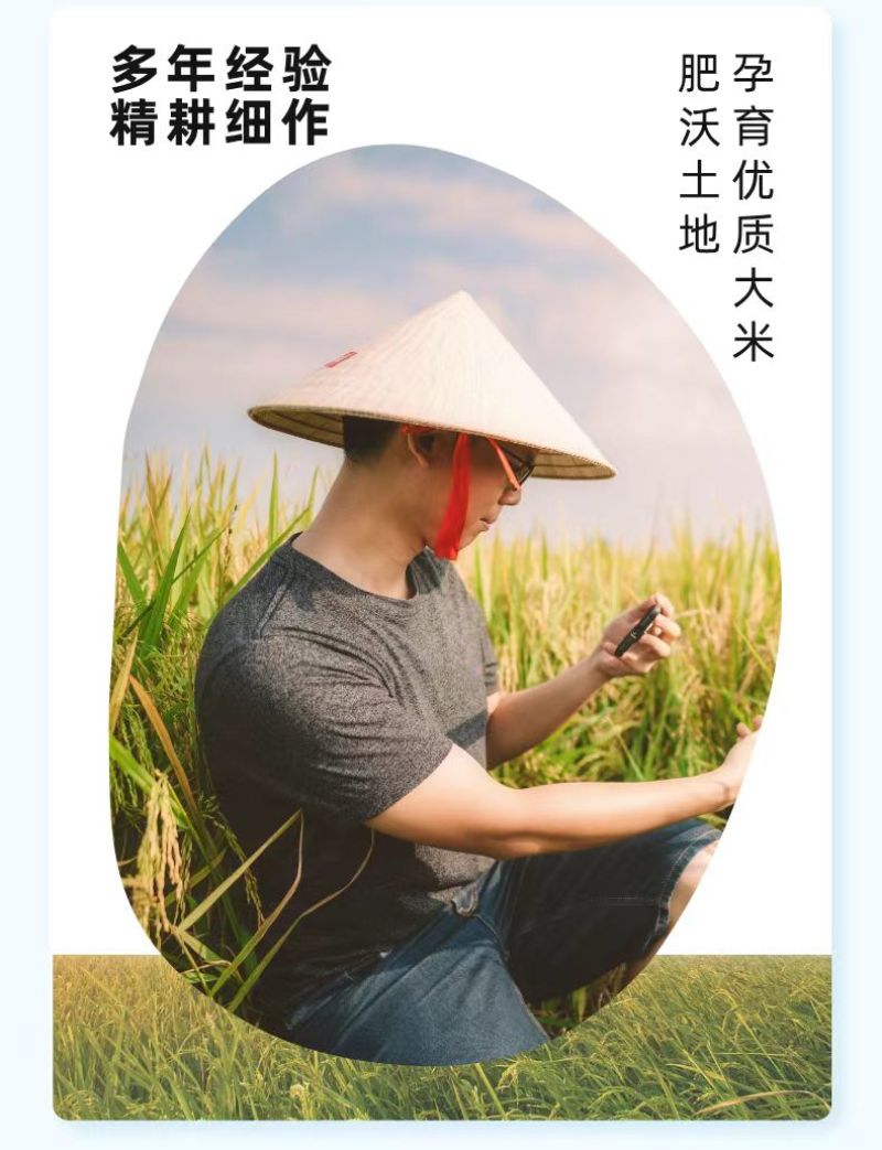 中科发五大米