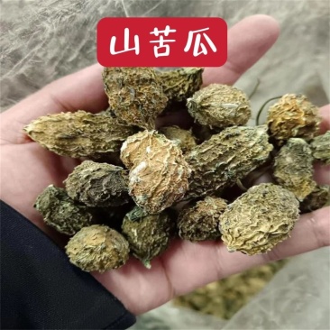山苦瓜云南土特产山苦瓜小苦瓜整颗农家50-1000克