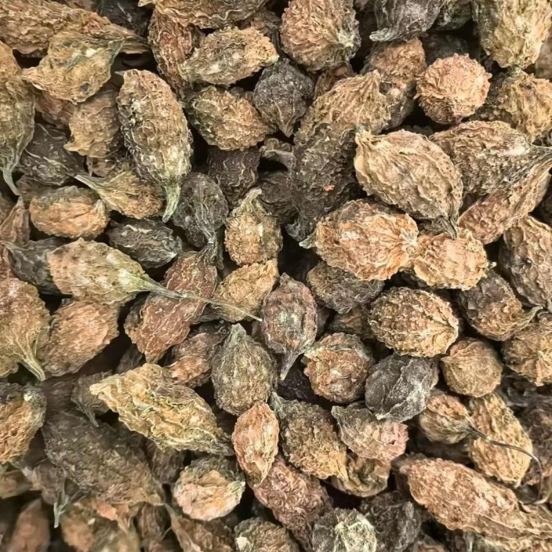 山苦瓜云南土特产山苦瓜小苦瓜整颗农家50-1000克