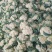 花菜山东松花菜有机菜花大量供应规格齐全欢迎来电咨询