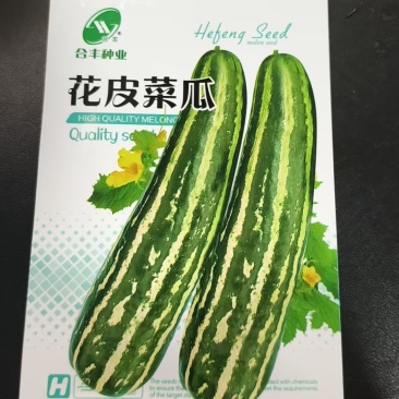 花皮菜瓜种子-汁多味清香甜美鲜脆多汁生长强壮