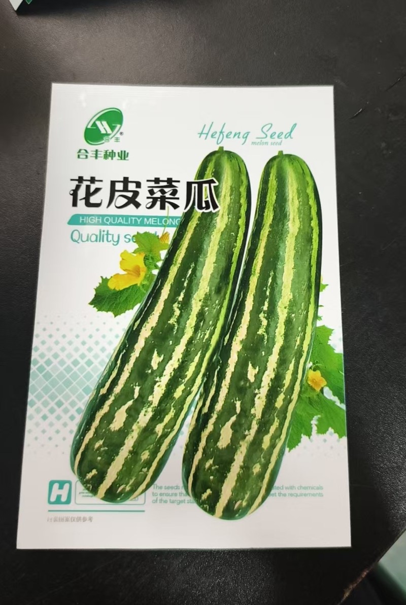 花皮菜瓜种子-汁多味清香甜美鲜脆多汁生长强壮