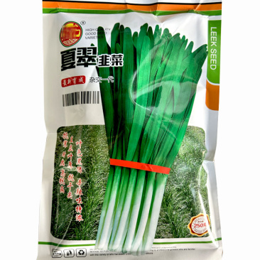 韭菜种子夏翠韭菜种籽休眠叶黑绿抗寒耐抗干尖白韭菜种籽宽叶