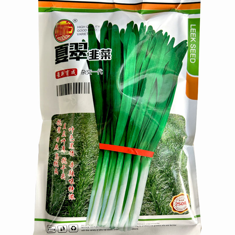 韭菜种子夏翠韭菜种籽休眠叶黑绿抗寒耐抗干尖白韭菜种籽宽叶