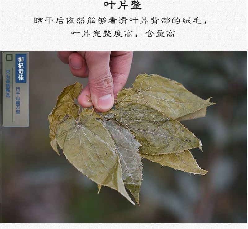正宗淫羊藿男性中药野生精选特级淫羊藿叶批发泡茶泡酒包邮