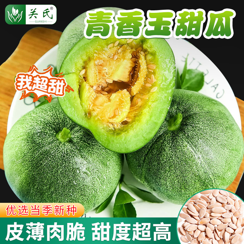 青香玉小麦酥-甜瓜种子甜度高座果多皮薄肉脆口感好易种