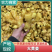 水洗大黄姜山东生姜姜厂直发规格齐全承接电商