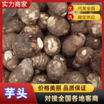 8520芋头莒县芋头基地代加工代发全国市场电商供货