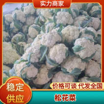 花菜山东松花菜有机菜花大量供应规格齐全欢迎来电咨询