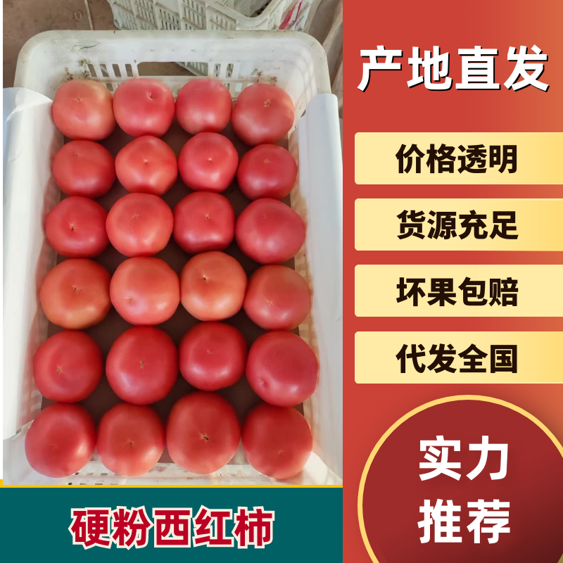 聊城硬粉西红柿产地直发货源充足供应市场电商商超