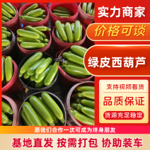 聊城西葫芦绿皮西葫芦基地直发货量充足颜色瓜型好