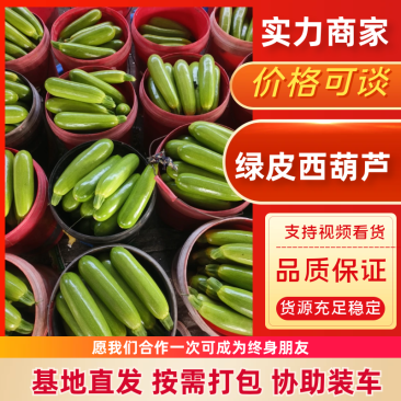 聊城西葫芦绿皮西葫芦基地直发货量充足颜色瓜型好