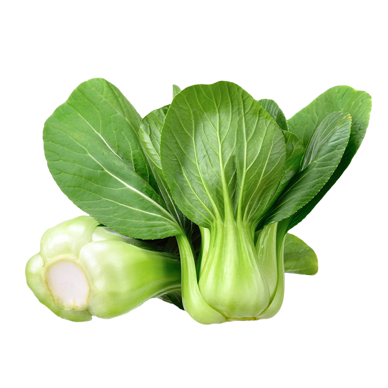 丰冠-青梗菜早熟丰产耐肥抗热型口味鲜美营养价值丰富