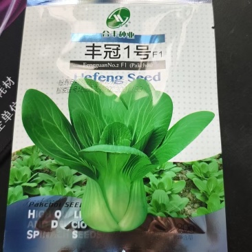 丰冠-青梗菜早熟丰产耐肥抗热型口味鲜美营养价值丰富
