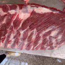 母猪肋排