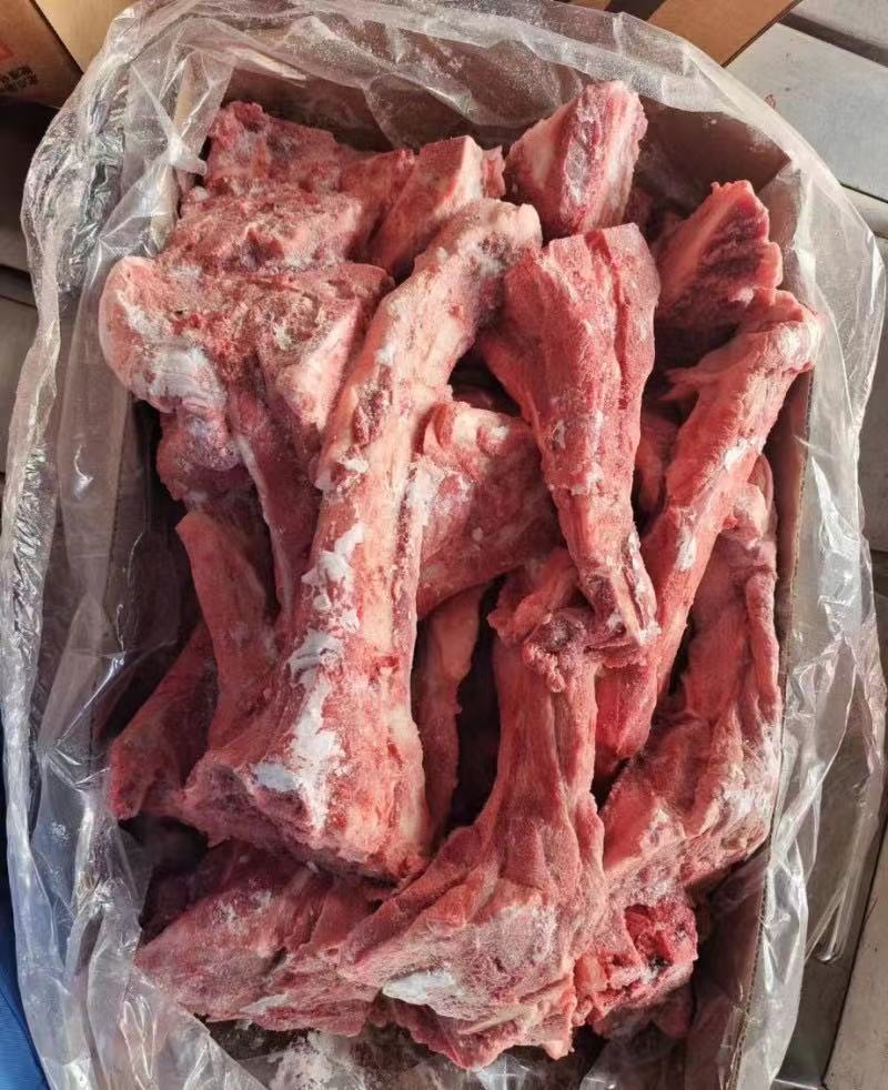 母猪尾骨