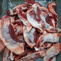 母猪月牙骨