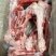 母猪后腿骨，猪棒骨