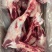 母猪后腿骨，猪棒骨