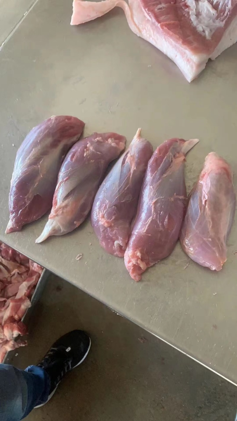 母猪鼠腱，猪内腱