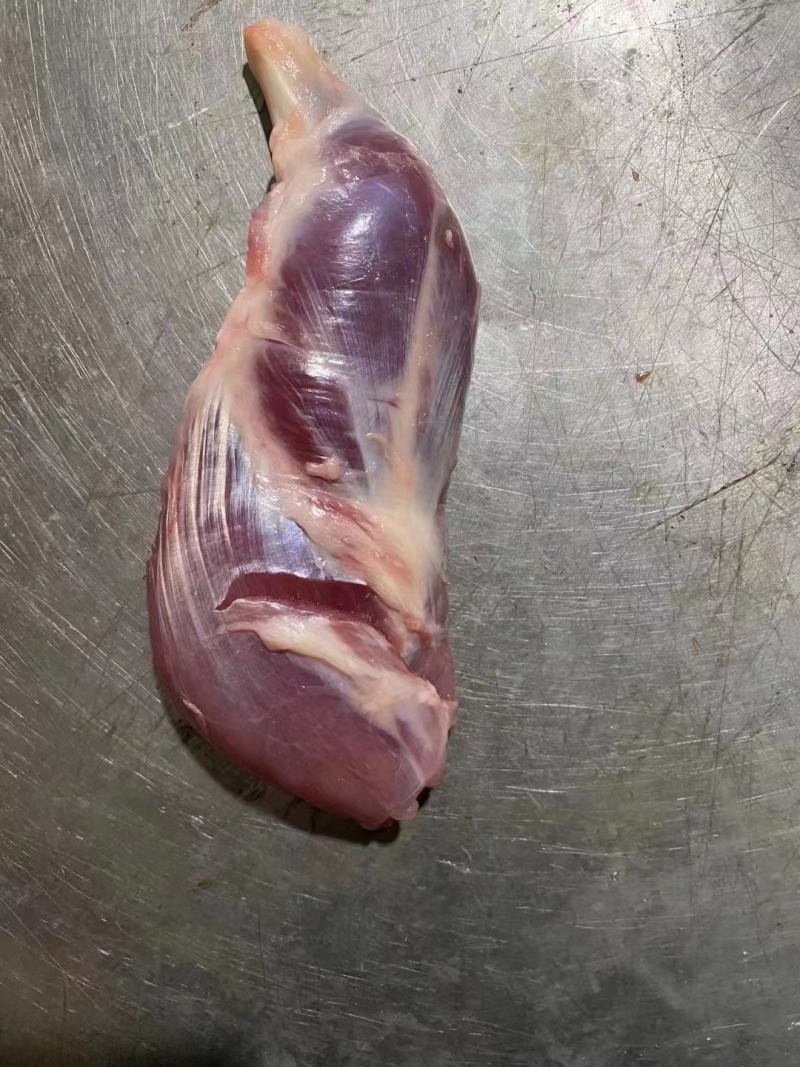 母猪鼠腱，猪内腱
